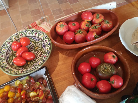 tomate du jardin de mes hotes